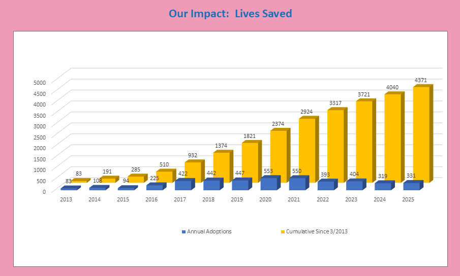 Yearly Adoption Graph