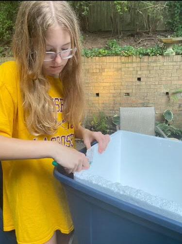 Alex making the cat house