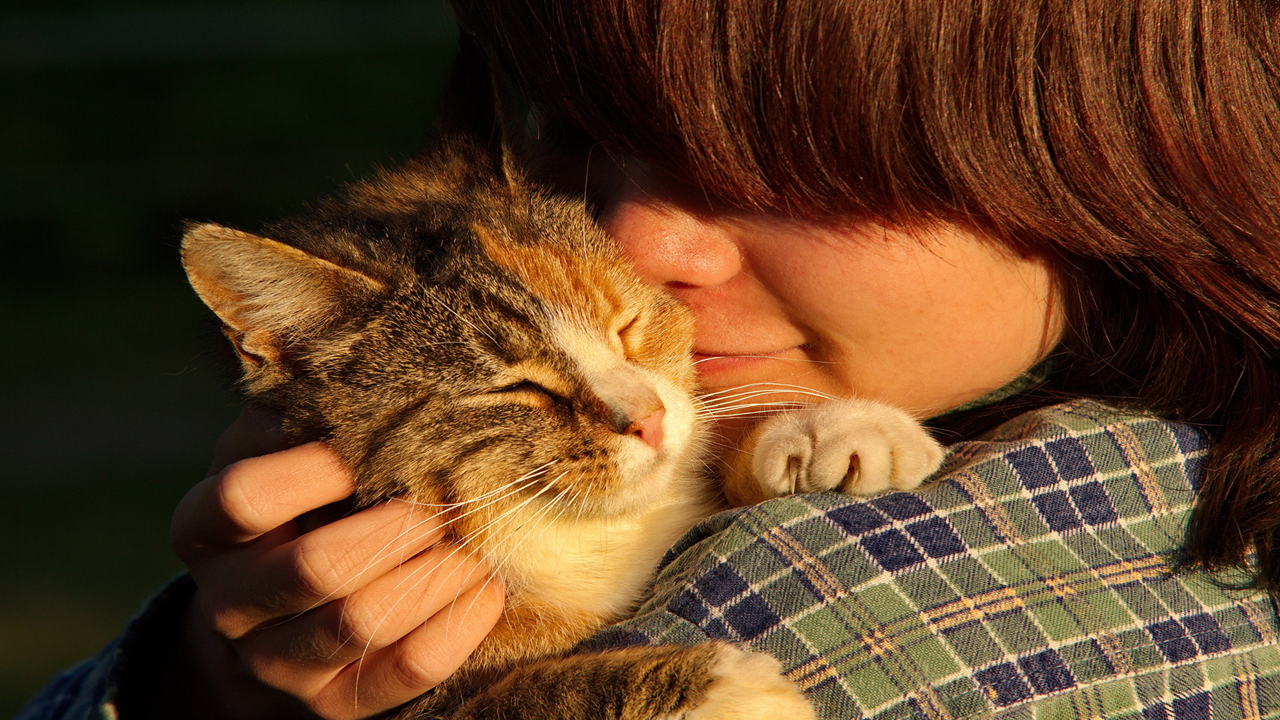 child hugging cat