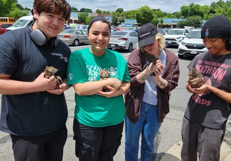 Starbucks Kitten Rescue